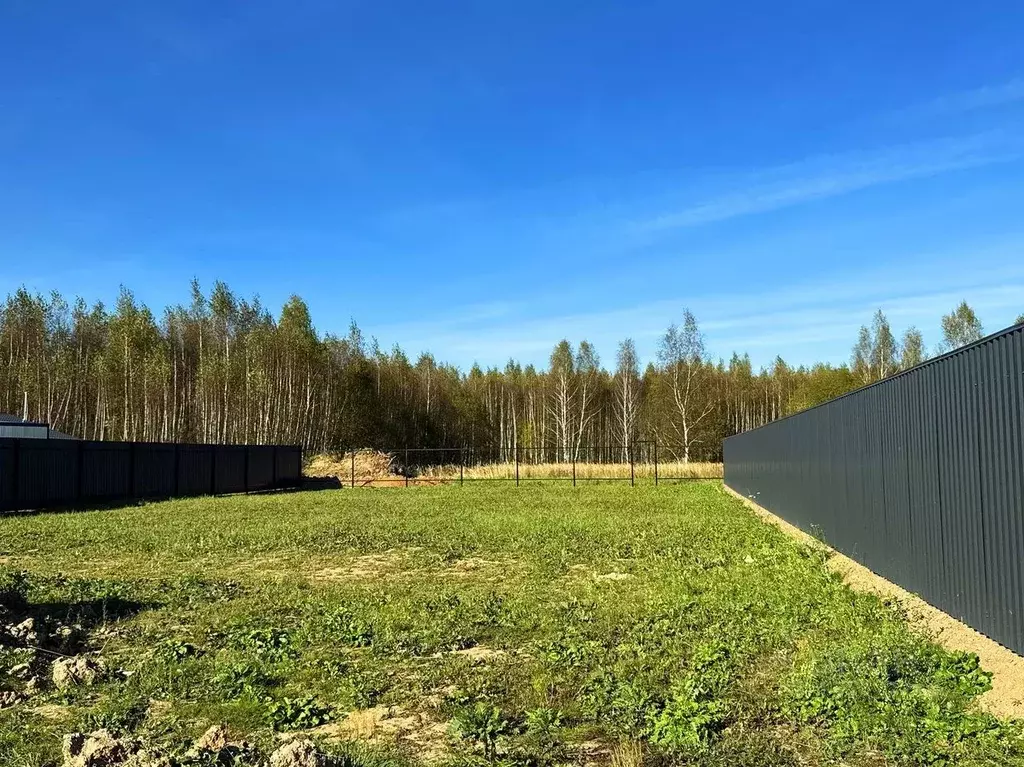 Участок в Московская область, Раменский муниципальный округ, Оттепель ... - Фото 2