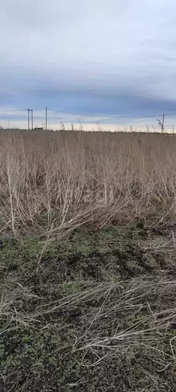Участок в Ульяновская область, Ульяновск городской округ, с. Лаишевка  ... - Фото 0