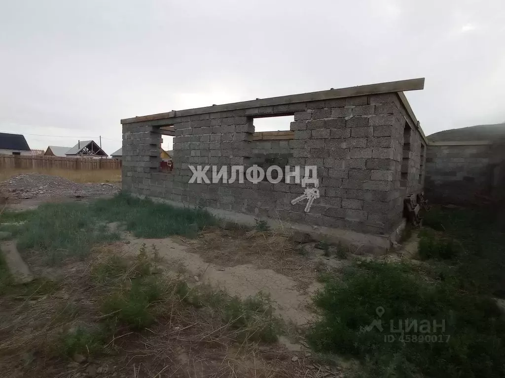 Каменистая кызыл Каменистая кызыл