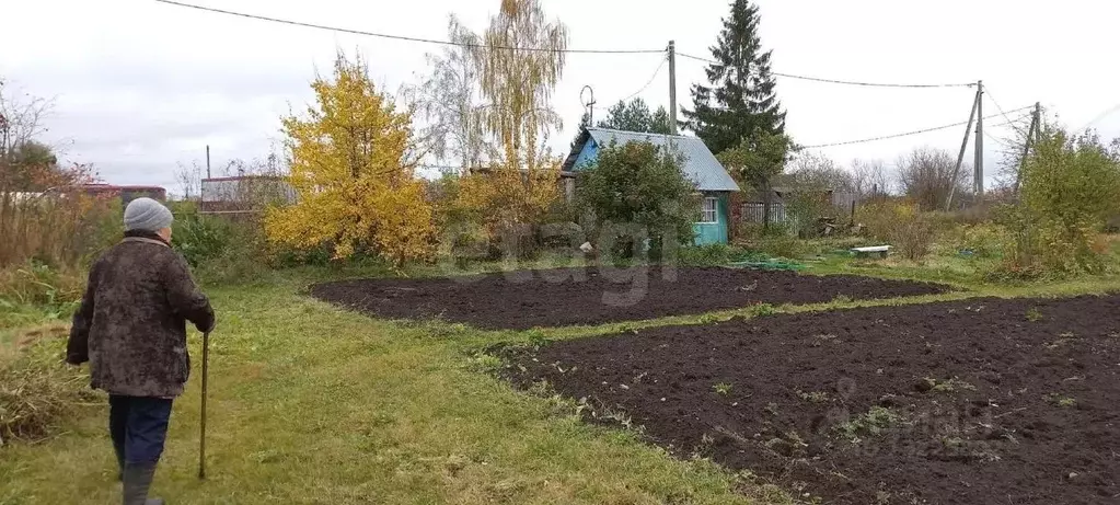 Земля дубровская. Дубровское Вологодский район. П Дубровский Вологодская область фото.