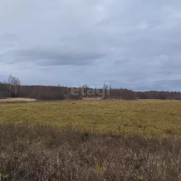 Участок в Костромская область, Красное-на-Волге городское поселение, ... - Фото 1