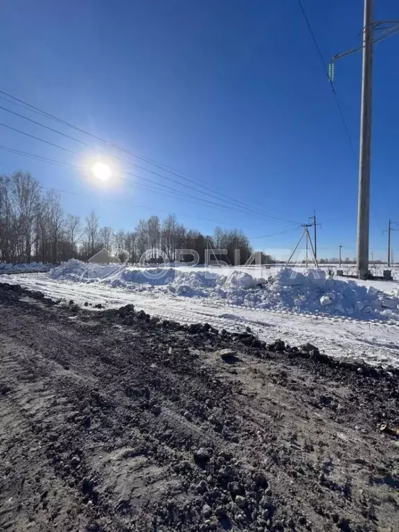 Участок в Тюменская область, Тюменский муниципальный округ, д. ... - Фото 2