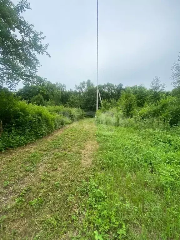 Участок в Амурская область, Благовещенский район, Амурская правда СТ  ... - Фото 1
