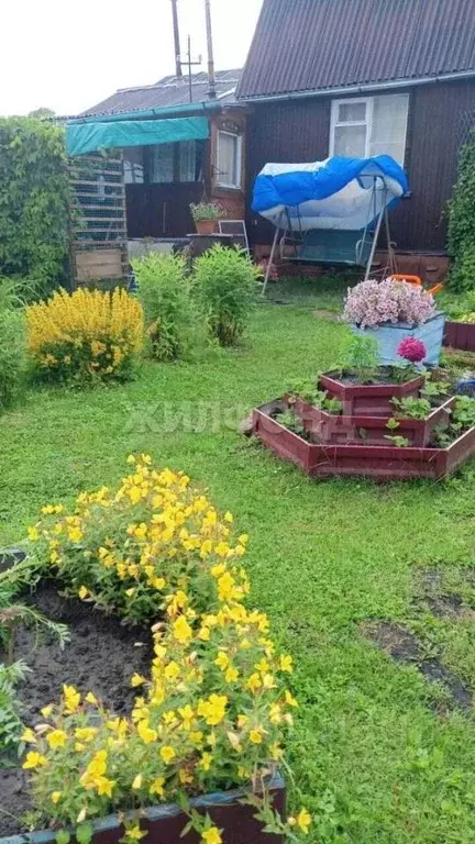 Дом в Новосибирская область, Мошковский район, Орбита СНТ  (40 м) - Фото 1