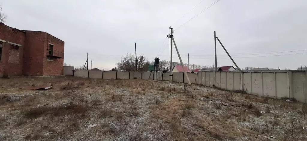 Помещение свободного назначения в Новосибирская область, Краснозерский ... - Фото 0