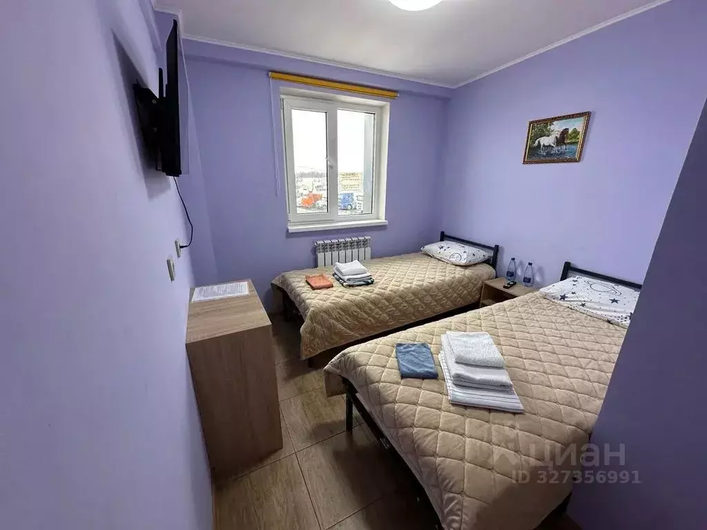 Комната Белгородская область, Белгородский район, Новосадовское с/пос, ... - Фото 1