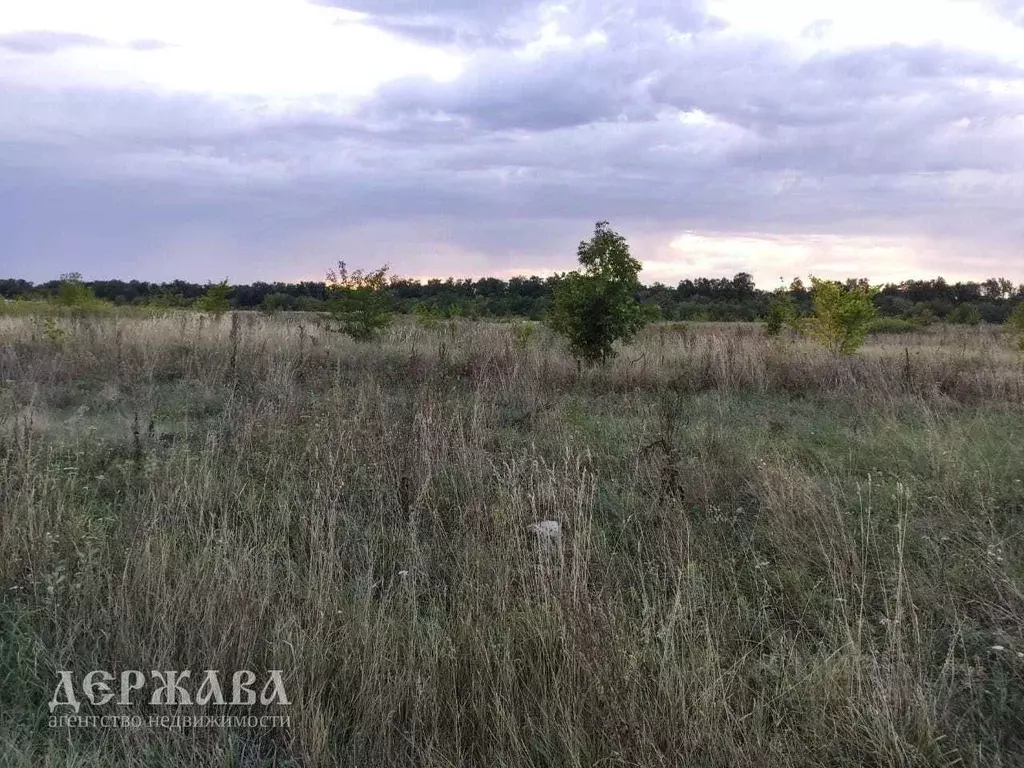 Участок в Белгородская область, Старооскольский городской округ, с. ... - Фото 0