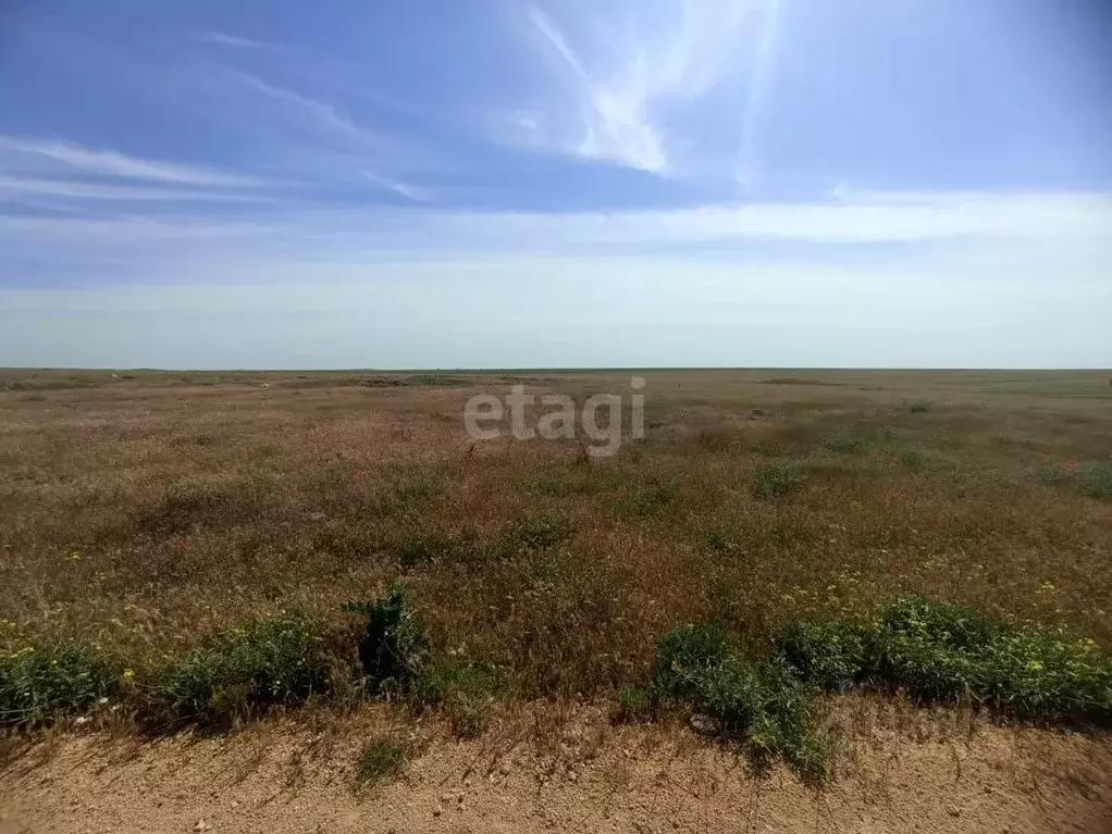 Участок в Крым, Черноморский район, с. Межводное ул. Дружбы (200.0 ... - Фото 1