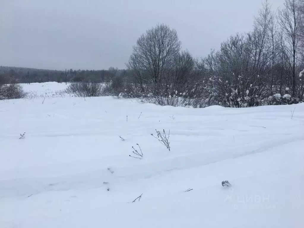 Участок в Московская область, Пушкинский городской округ, д. ... - Фото 1