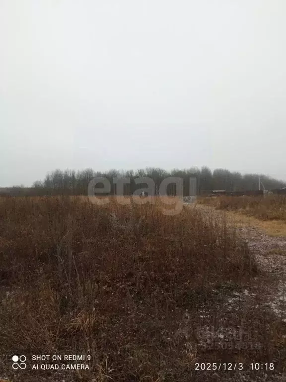 Участок в Мордовия, Кочкуровский район, с. Булгаково  (10.0 сот.) - Фото 2