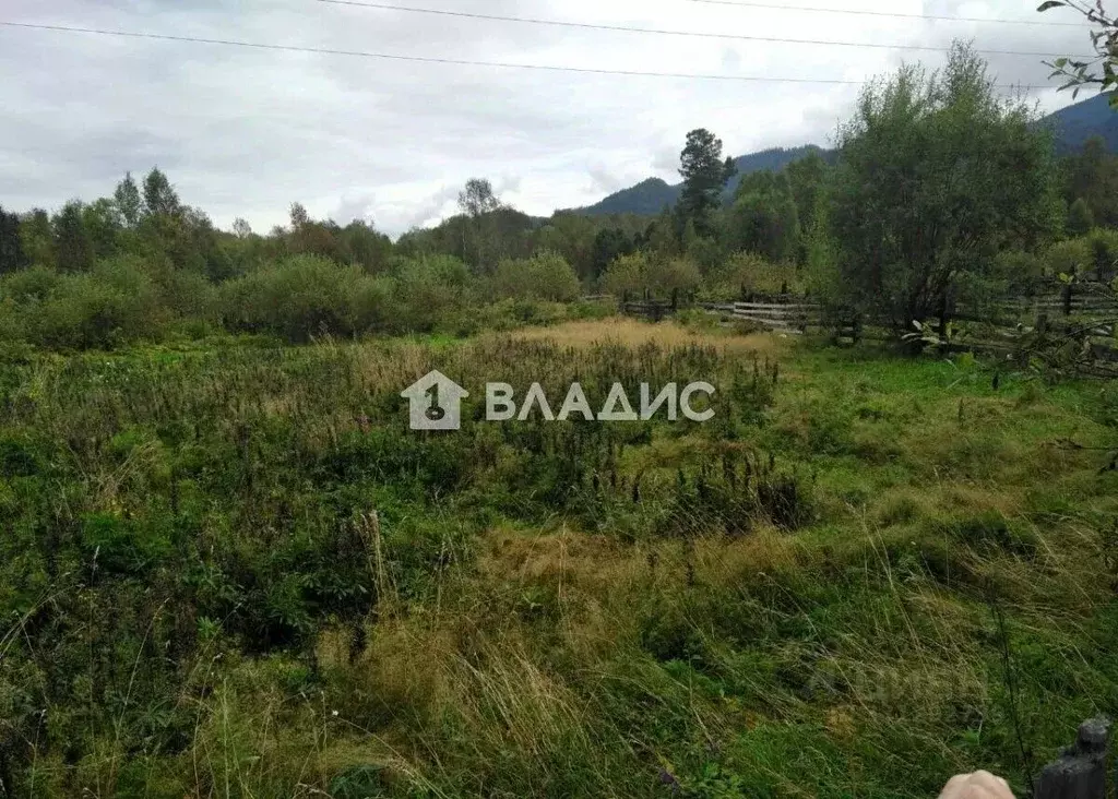 Участок в Иркутская область, Слюдянский район, Байкальское ... - Фото 1