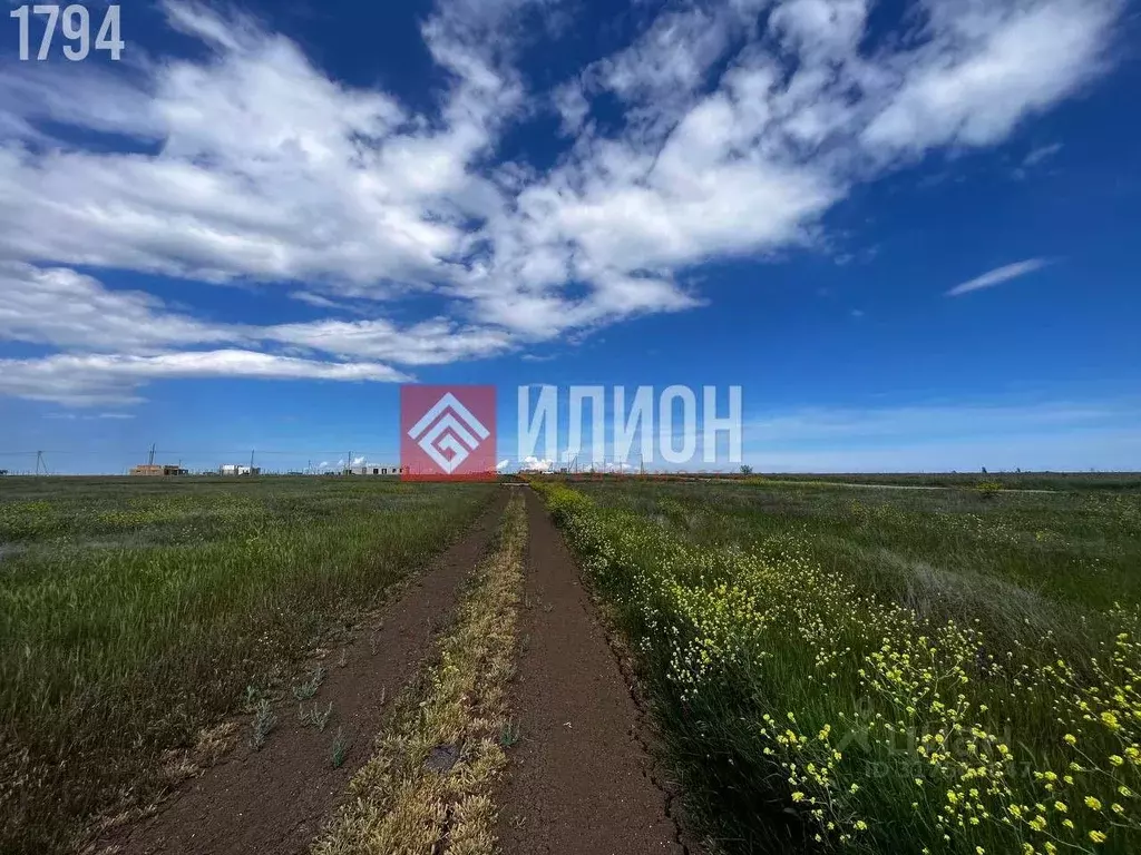 Участок в Крым, Феодосия муниципальный округ, с. Береговое ул. Ясная, ... - Фото 1