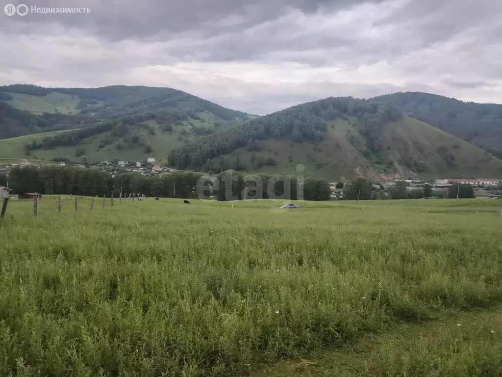 Участок в село Бирюля, Светлая улица (13 м) - Фото 1
