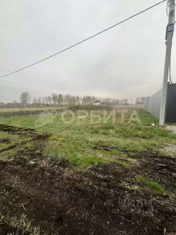 Участок в Тюменская область, Тюмень Зеленый Бор ДНТСН,  (10.0 сот.) - Фото 2