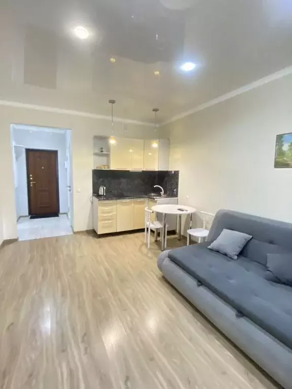 Студия Краснодарский край, Анапа ул. Ленина, 173Ак5 (26.0 м) - Фото 2