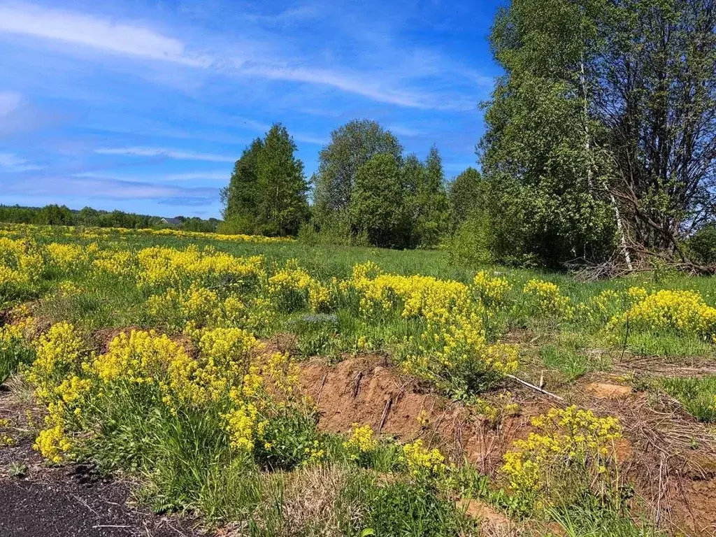 Участок в Московская область, Клин городской округ, Коськово кп 97 ... - Фото 2
