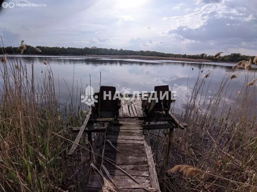 Участок в Белая Калитва, СДТ Юность (4 м) - Фото 0