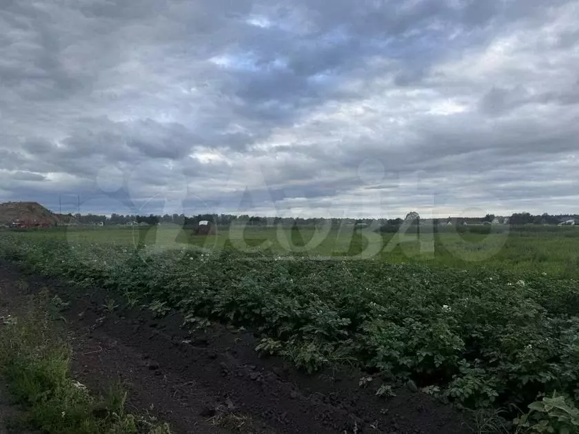 Участок 9 сот. (ИЖС) - Фото 1