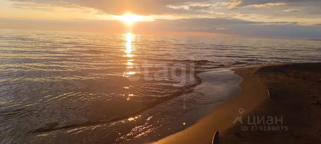 Участок в Ленинградская область, Волховский район, Свирицкое с/пос, ... - Фото 1