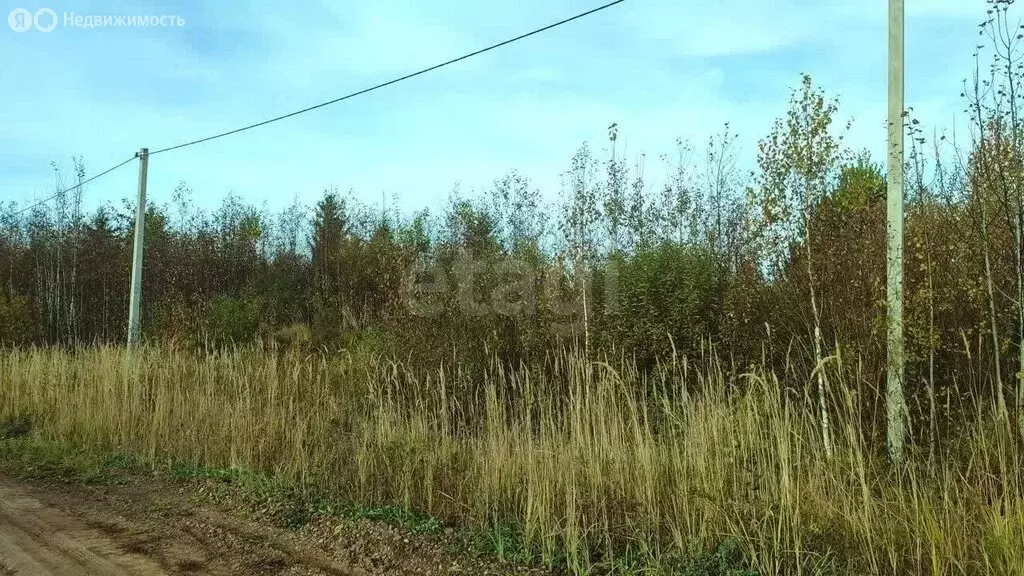 Участок в Чернушка, Звёздная улица (14 м) - Фото 2