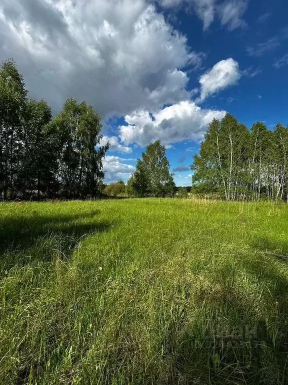 Участок в Татарстан, Лаишевский район, Нармонское с/пос, Алма нст  ... - Фото 1