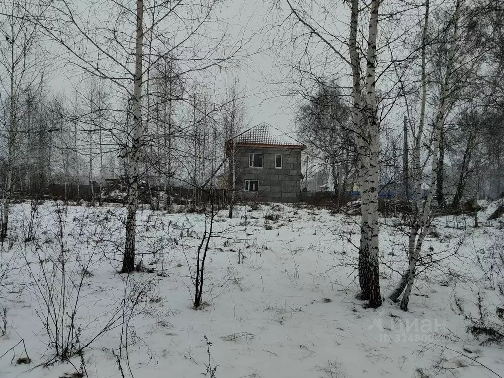 Участок в Омская область, Омск ул. 4-я Янтарная (8.0 сот.) - Фото 2