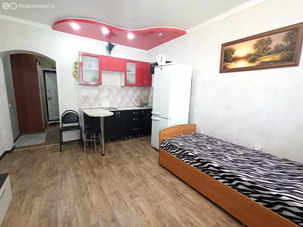Квартира-студия: село Засечное, Светлая улица, 7 (28 м) - Фото 1