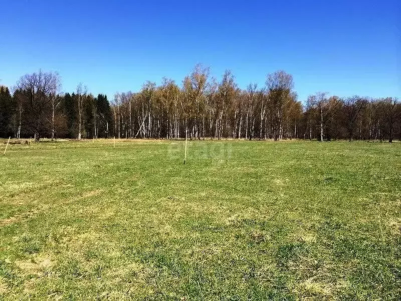 Участок, 8.8 сот., поселения (ижс) - Фото 1