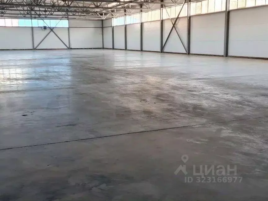 Склад в Московская область, Лосино-Петровский ул. Чкалова (1500 м) - Фото 1