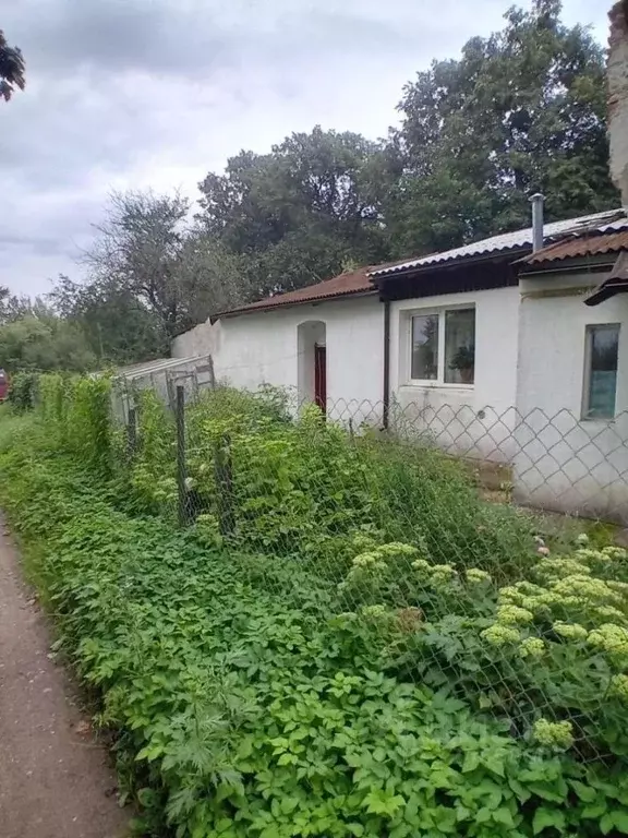 2-к кв. Калининградская область, Краснознаменский муниципальный округ, ... - Фото 2