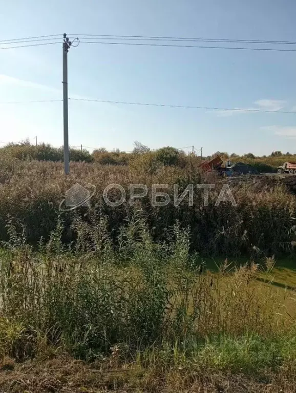 Участок в Тюменская область, Тюмень Матрешка СНТ,  (15.0 сот.) - Фото 1