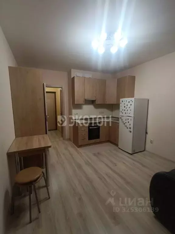 Студия Санкт-Петербург пос. Шушары, просп. Старорусский, 13к1 (20.8 м) - Фото 1