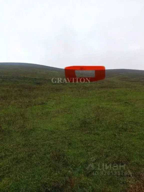 Участок в Алтай, Майминский район, пос. Алферово Центральная ул., 31А ... - Фото 1