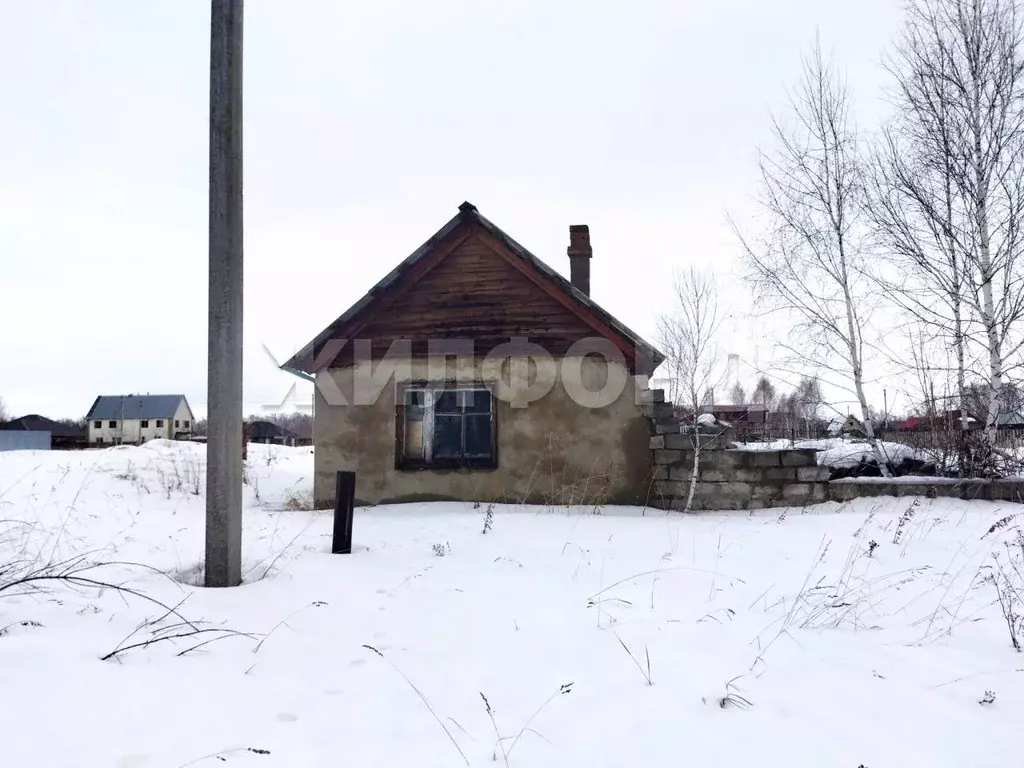 Дом в Новосибирская область, Новосибирский район, с. Боровое ул. ... - Фото 1