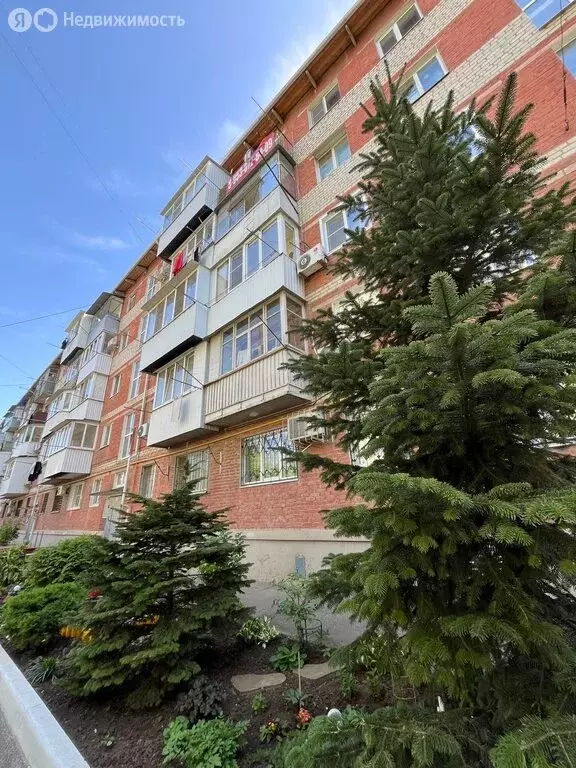 3-комнатная квартира: Краснодар, Рашпилевская улица, 331 (60 м) - Фото 0