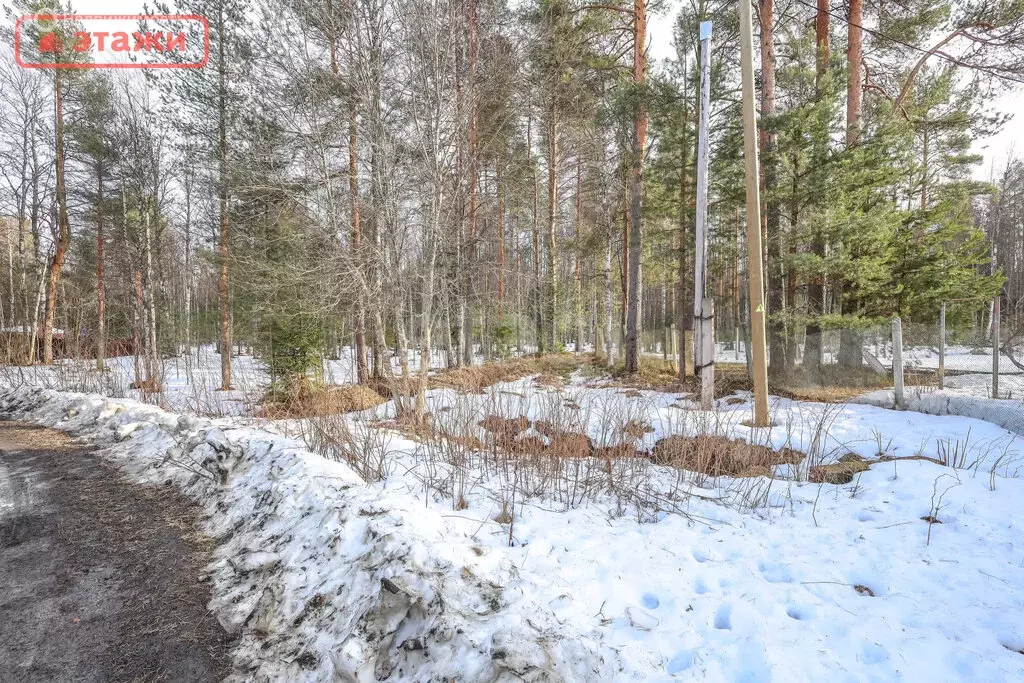 Участок в село Деревянное, улица Савкины Поля (8.4 м) - Фото 2