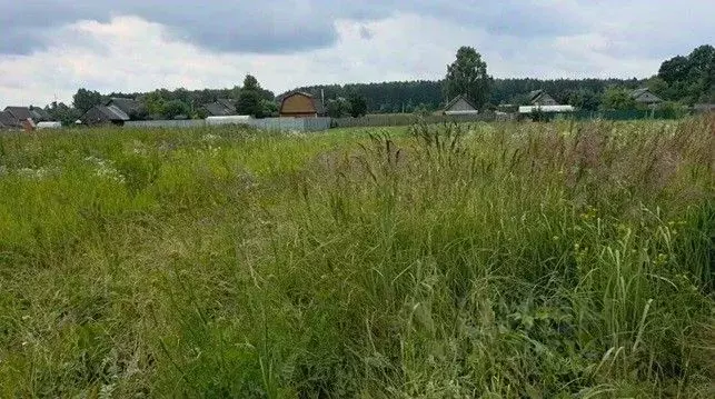 Участок в Московская область, Щелково городской округ, с. Рязанцы  ... - Фото 1