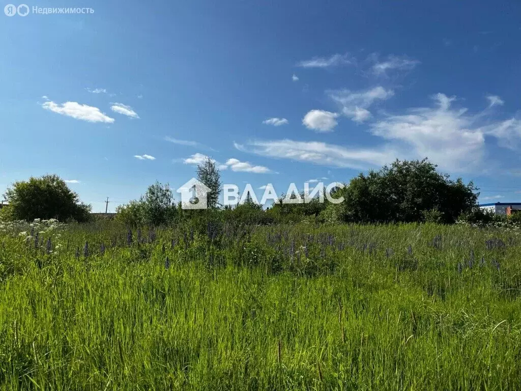 Участок в Вологда, микрорайон Южный (8.8 м) - Фото 2