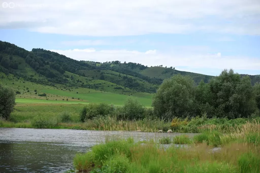 Участок в Томск, улица Бакунина (6 м) - Фото 1