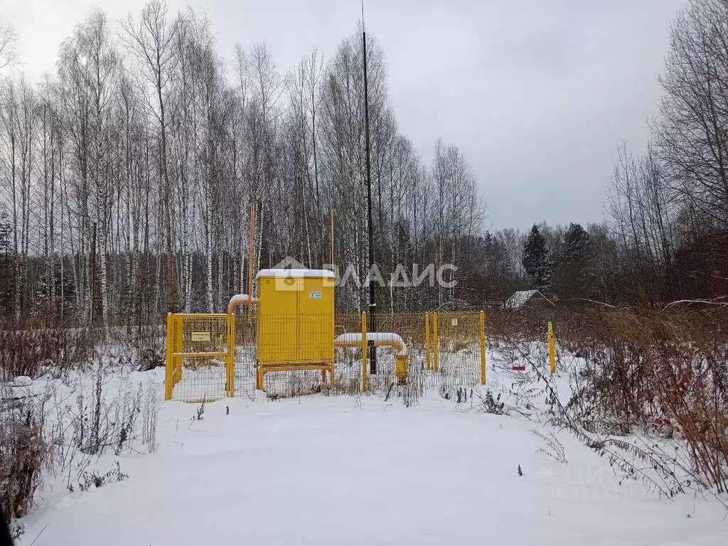 Участок в Владимирская область, Судогодский район, Лавровское ... - Фото 1