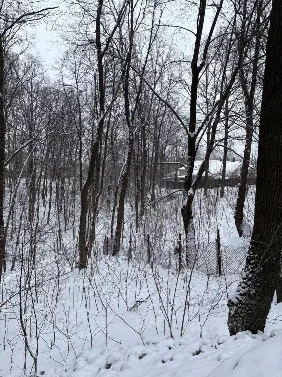 Участок в Самарская область, Самара Ясная Поляна СНТ, 294Б (6.0 сот.) - Фото 2
