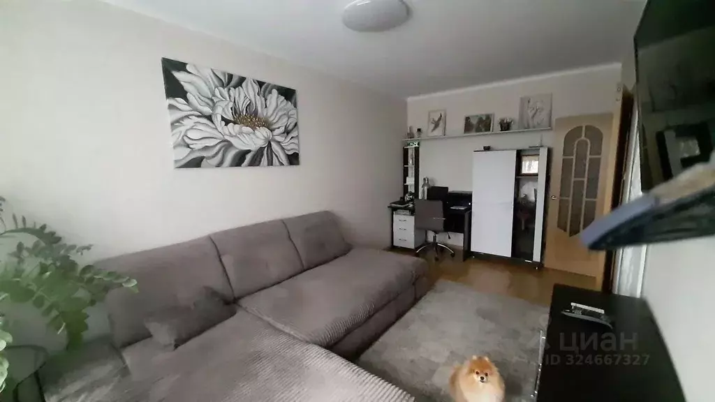 3-к кв. Белгородская область, Белгород ул. Шаландина, 1 (58.0 м) - Фото 1