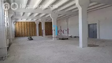 Склад (224.5 м) - Фото 1