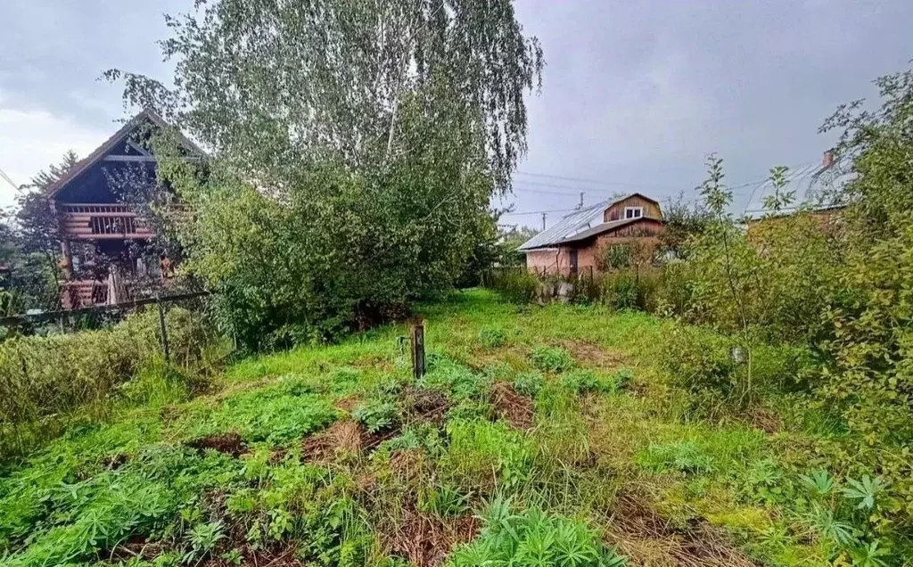 Участок в Московская область, Лосино-Петровский городской округ, д. ... - Фото 1