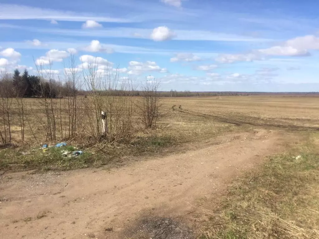 Участок в Вологодская область, Устюженский район, д. Шустово  (6.0 ... - Фото 1
