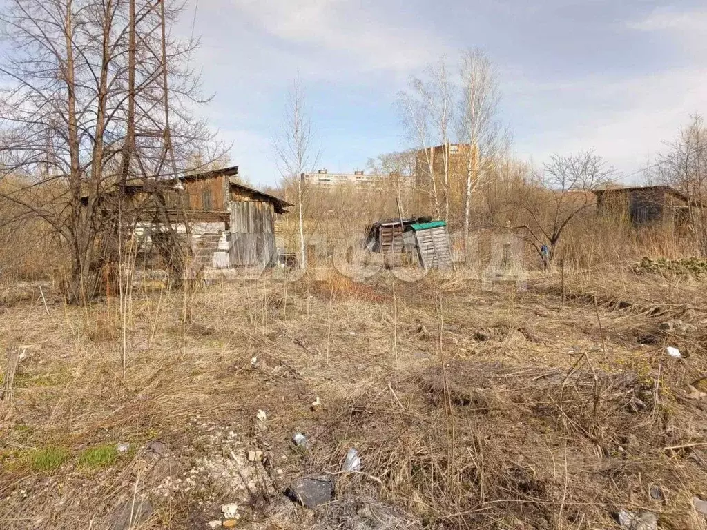 Участок в Новосибирская область, Новосибирск Лилия СНТ, ул. ... - Фото 0