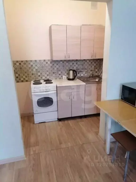 Студия Новосибирская область, Новосибирск ул. Виктора Шевелева, 38/1 ... - Фото 1