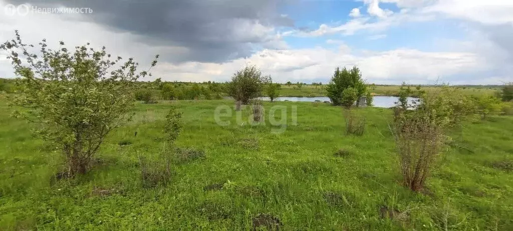 Участок в Рамонский район, Русскогвоздёвское сельское поселение, село ... - Фото 1