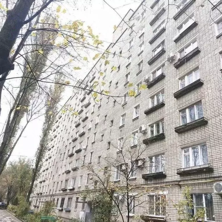 2-к кв. Воронежская область, Воронеж ул. Летчика Колесниченко, 42 ... - Фото 2