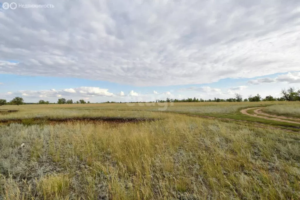 Участок в Илекский район, село Кардаилово (103.73 м) - Фото 1